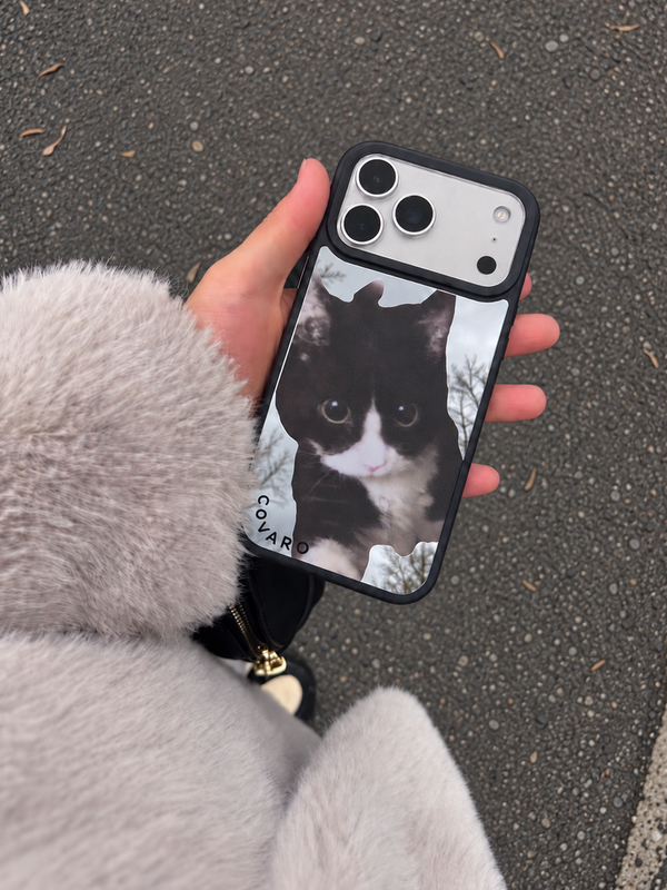 Mirror Cat 020
