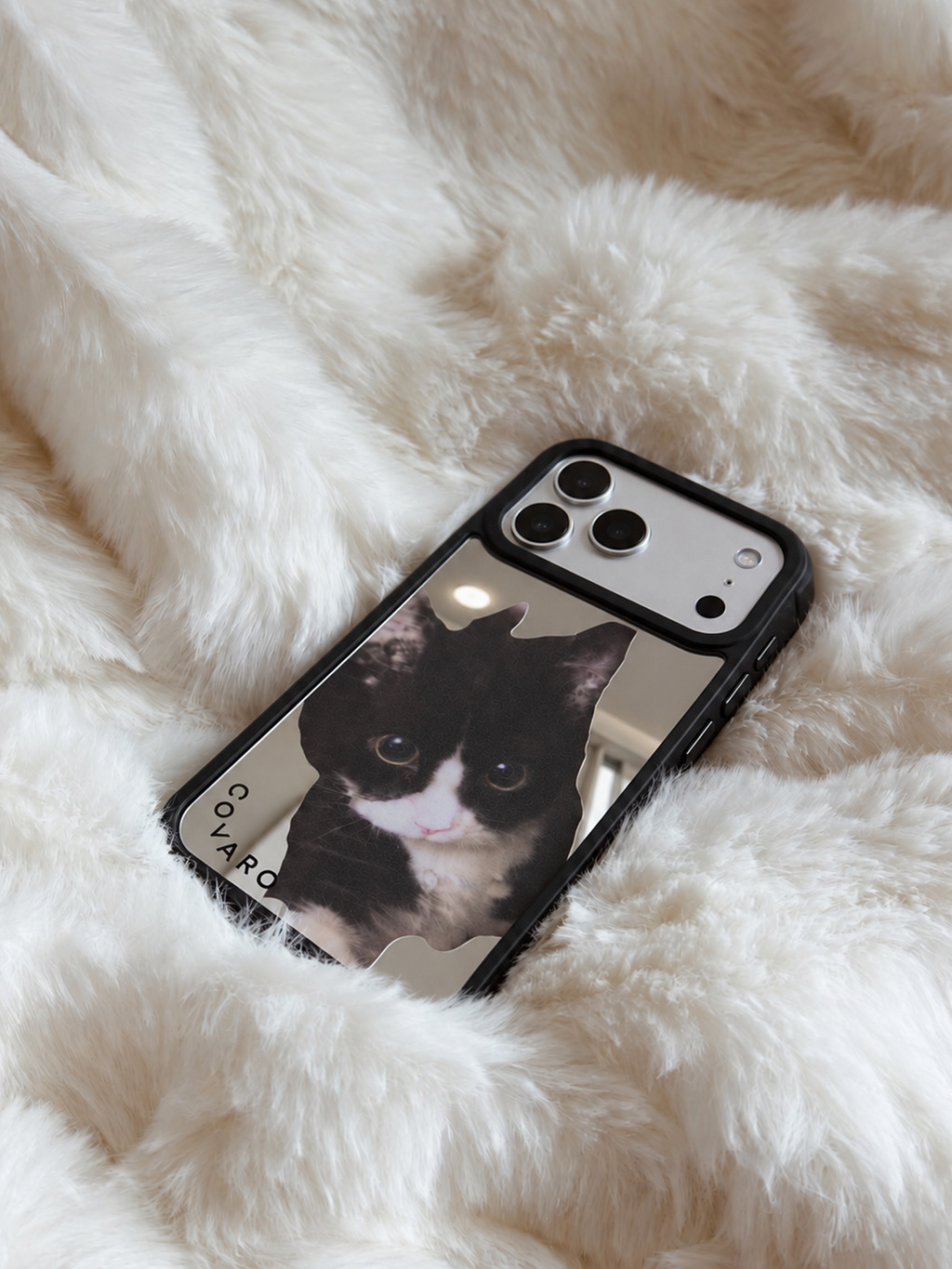 Mirror Cat 020