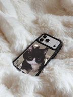 Mirror Cat 020